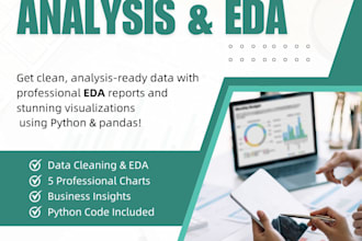 do python data cleaning and make eda professional report