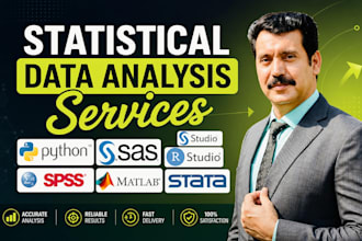 do statistical data analysis, spss data analysis, stata, r, nvivo, sas, matlab