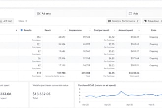 meta ads and tiktok ads and campaign strategy and analyze the data