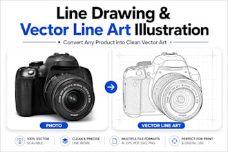 line drawing and vector line art illustration