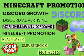 minecraft server promotion, minecraft growth, gaming promotion, server ads