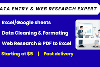 do data entry, excel cleaning, copy paste and web research