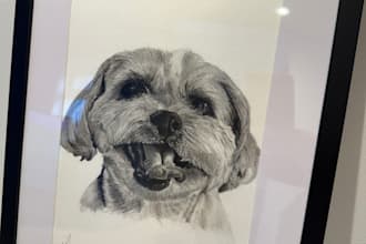 draw custom pet portraits with charcoal and graphite