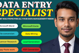 professional data entry, excel, copy paste