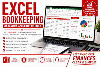 do professional bookkeeping and organize your finances in excel