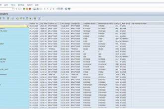 do the sap development and bug fix support