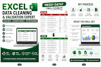 do excel data cleaning, data validation and formatting