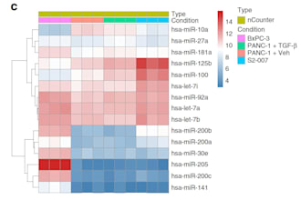 perform complex bioinformatics tasks