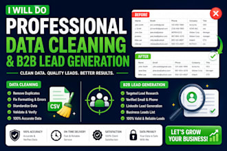 do professional data cleaning and b2b lead generation