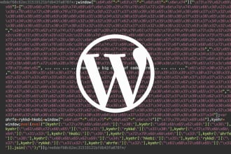 remove the malware and secure your wordpress site