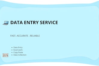 do data entry, excel work and copy paste tasks