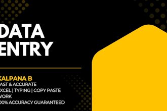 do fast and accurate data entry typing and copy paste work
