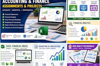 assist on accounting and finance assign, financial analysis and economics