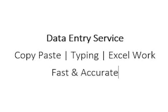 manual PDF to word excel typing service