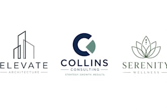 create proffessional logo designs for you for minimal price