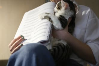 teach you music theory and harmony