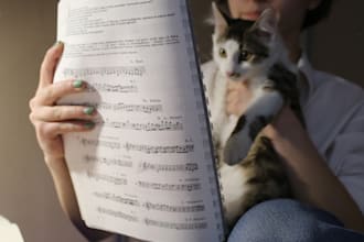 teach you music theory and harmony
