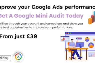 run a google ads review on your account and campaigns and record for your review