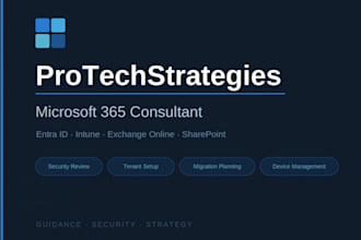 provide a microsoft 365 consultation