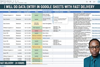 do data entry in google sheets with fast delivery