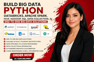 build big data python databricks apache spark hive hadoop sql data collection ai
