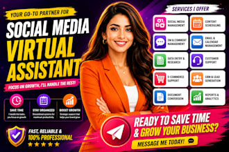 instagram assistant email assistant canva virtual assistant admin support assist