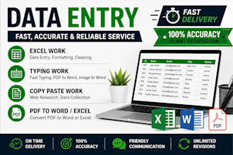 data entry, typing, copy paste and excel work