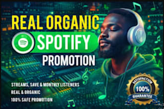 organic USA spotify track promotion, spotify music promotion