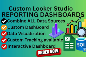 create professional looker studio dashboards and data visualization reports