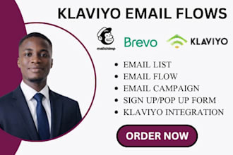 do klaviyo email marketing klaviyo email flows klaviyo campaign for shopify