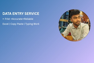 data entry and excel expert