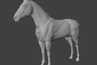 model a pet animal or person