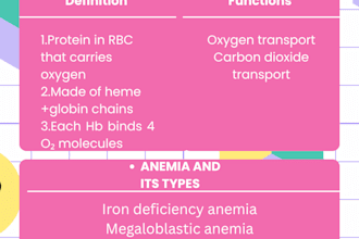 aesthetic medical notes in canva for mbbs and students