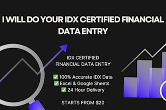 excel financial data entry by idx certified