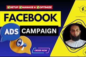 professionally facebook and instagram ads campaign