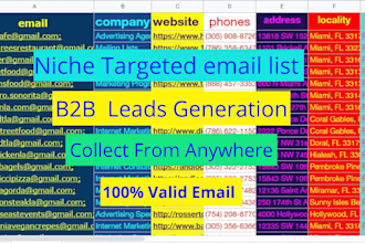 build niche targeted email list for email