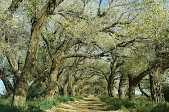create stunning nature and landscape photography