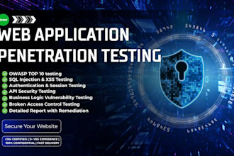do professional web application penetration testing with security report
