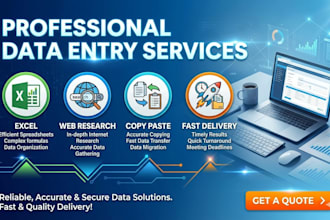 do professional data entry, copy paste, web research and excel work