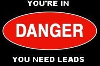 build you a professional lead capture page for any business