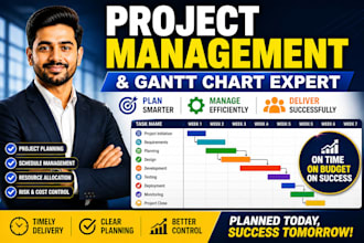 assist in execute your project as a project manager