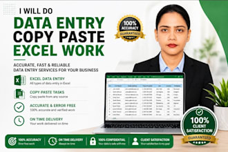 do accurate data entry copy paste and excel work