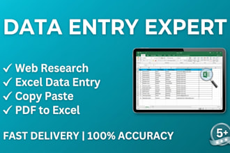 do fast manual data entry and web research