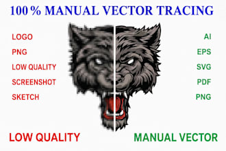 manually vectorize and redraw your logo