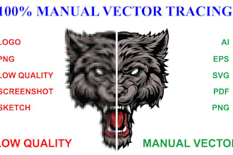 manually vectorize and redraw your logo