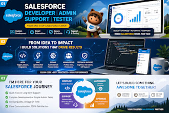be your salesforce dev , admin , support and tester