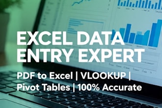 do fast excel data entry, PDF to excel conversion in 2 hours