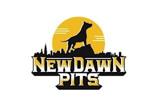 design high quality human and animal cartoon logo characters