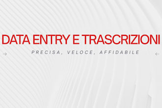 do professional data entry and fast italian transcription