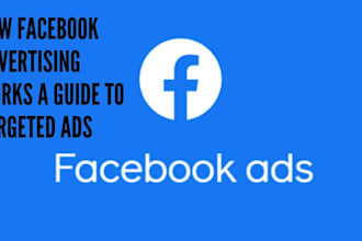setup and manage facebook ads campaign fb or meta